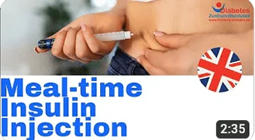 Meal-Time Insulin Injection