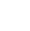 Vorgeschichte und Diagnostik 